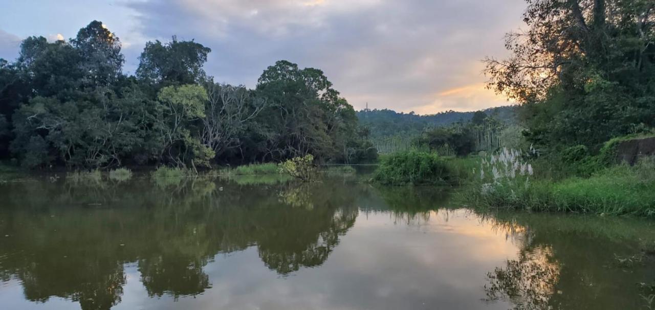 Kalidasa Tree House And Villa, Wayanad Chegat ภายนอก รูปภาพ