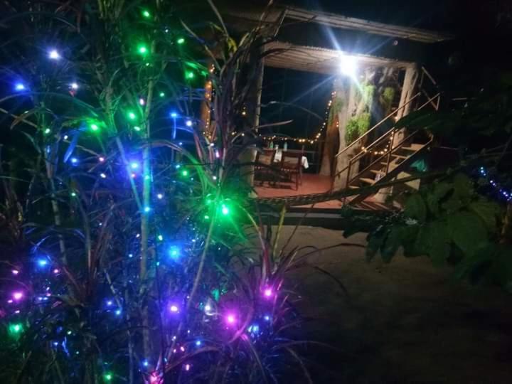 Kalidasa Tree House And Villa, Wayanad Chegat ภายนอก รูปภาพ