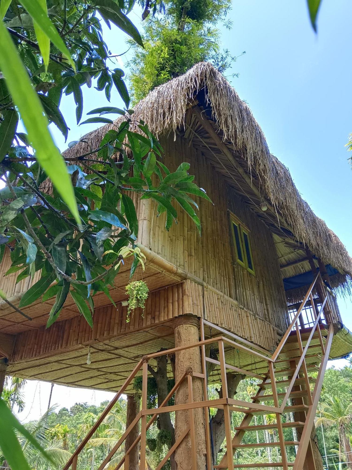 Kalidasa Tree House And Villa, Wayanad Chegat ห้อง รูปภาพ