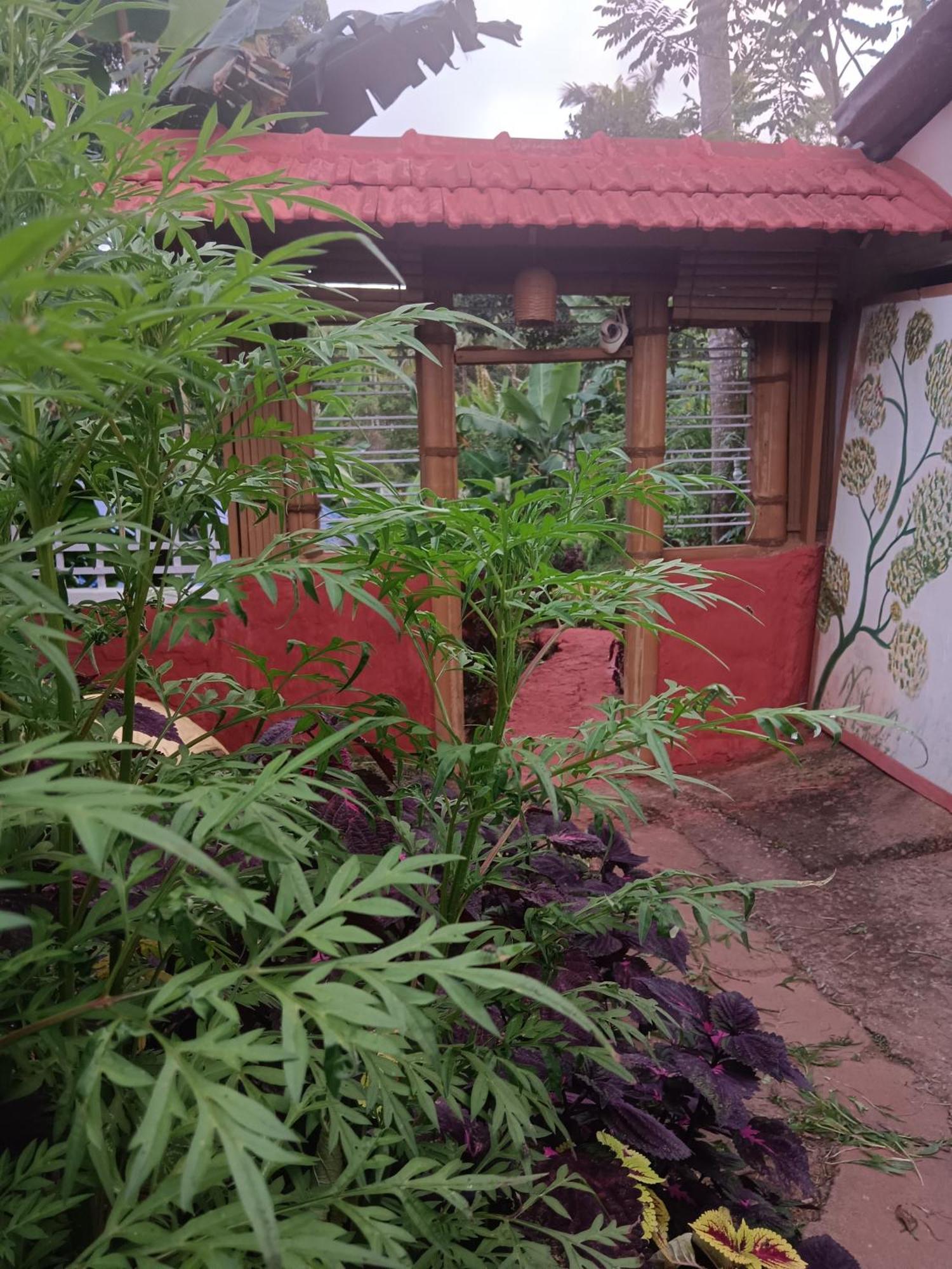 Kalidasa Tree House And Villa, Wayanad Chegat ภายนอก รูปภาพ