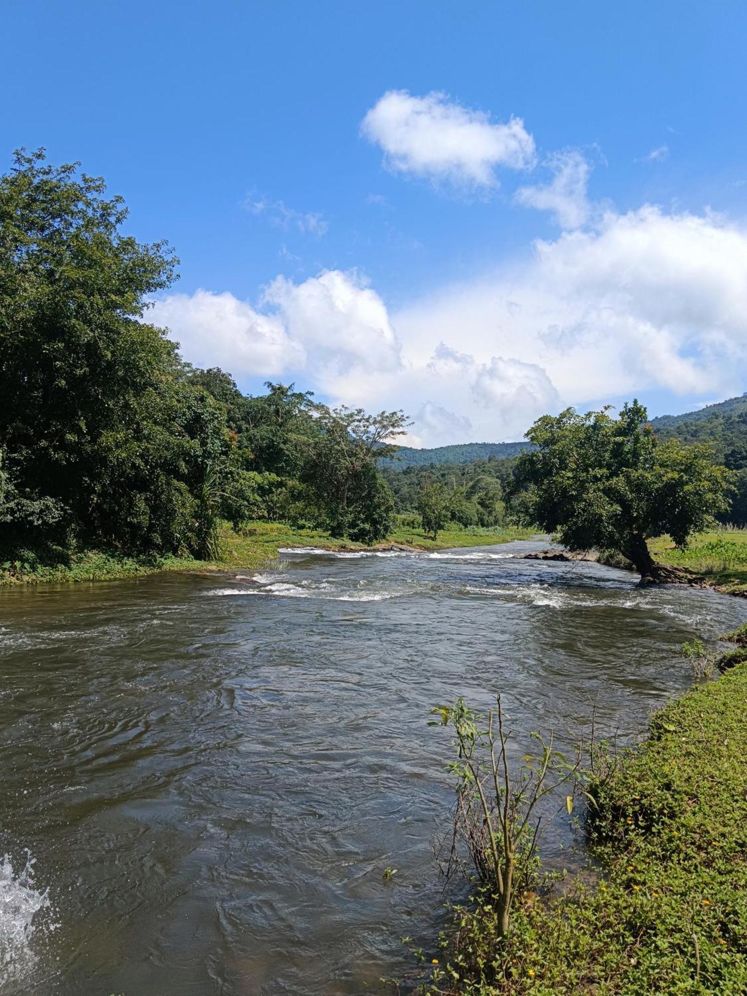 Kalidasa Tree House And Villa, Wayanad Chegat ภายนอก รูปภาพ
