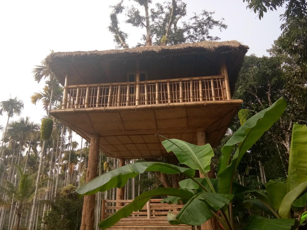 Kalidasa Tree House And Villa, Wayanad Chegat ภายนอก รูปภาพ